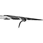 APRESA.PLP - Kierukkajatko AMKA 1kpl=2kierr - LS2506413, 0-JOHTO 25 mm2