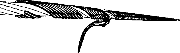 APRESA.PLP - Kierukkajatko AMKA 1kpl=3kierr - LS5314007, 0-JOHTO 95 mm2