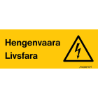 NORMIOPASTE - Tarra 300X120 - HENGENVAARA-LIVSFARA