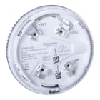 SCHNEIDER ELECTRIC - Sireeni - Kantavilkkuhälytin ELC valk