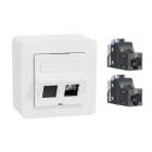 SCHNEIDER ELECTRIC - Telerasia - Datarasia Pinta 2x S1 CAT6 UTP