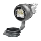 WEIDMÜLLER - Pistorasiapaneeli - IE-FCM-RJ45-FJ-A