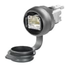 WEIDMÜLLER - Pistorasiapaneeli - IE-FCM-RJ45-FJ-A