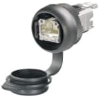 WEIDMÜLLER - Pistorasiapaneeli - IE-FCM-RJ45-FJ-B