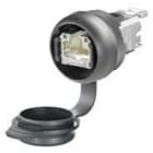 WEIDMÜLLER - Pistorasiapaneeli - IE-FCM-RJ45-FJ-P