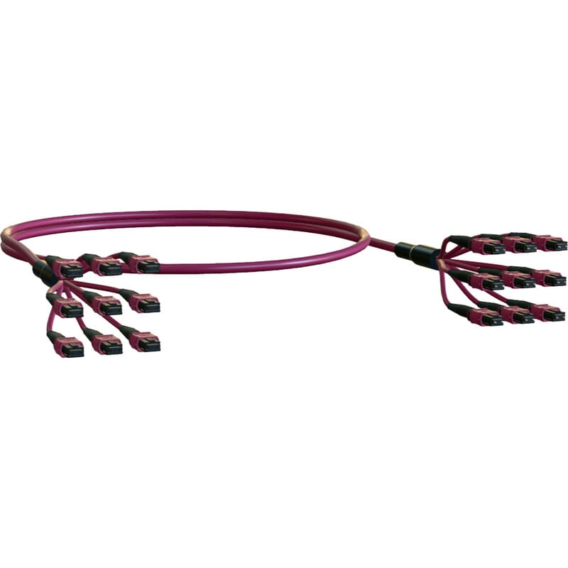 ELEVATE - Kytkentäkaapeli-kuitu - ELEVATE BASE8 OM4 72 MPO 2 m