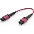 ELEVATE - Kytkentäkaapeli-kuitu - ELEVAT BASE8 OM4 96 MPO 2M