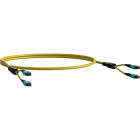 ELEVATE - Kytkentäkaapeli-kuitu - ELEVATE BASE8 OS2 16 MPO 2m EL