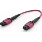 ELEVATE - Kytkentäkaapeli-kuitu - ELEVATE BASE12 OM4 12 MPO 2M