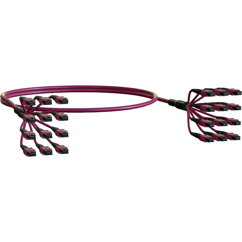 ELEVATE - Kytkentäkaapeli-kuitu - ELEVATE BASE12 OM4 144 MPO 2m