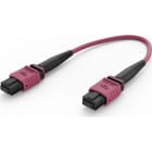 ELEVATE - Kytkentäkaapeli-kuitu - ELEVATE BASE12 OM4 48 MPO 2M