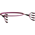 ELEVATE - Kytkentäkaapeli-kuitu - ELEVATE BASE12 OM4 48 MPO 2m