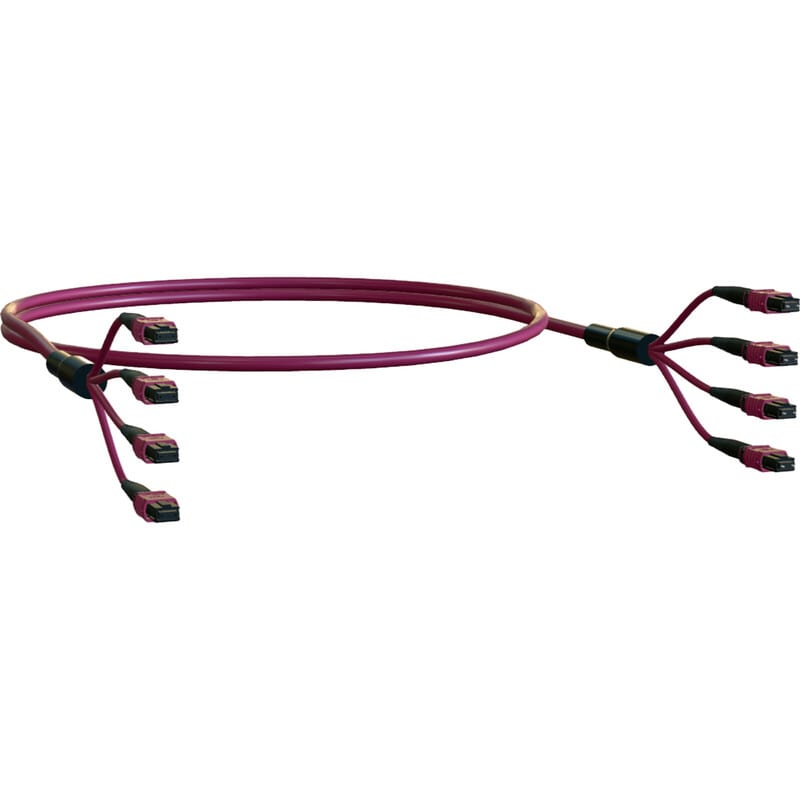 ELEVATE - Kytkentäkaapeli-kuitu - ELEVATE BASE12 OM4 48 MPO 2m