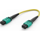 ELEVATE - Kytkentäkaapeli-kuitu - ELEVATE BASE12 OS2 12 MPO 2M