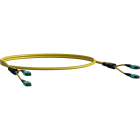 ELEVATE - Kytkentäkaapeli-kuitu - ELEVATE BASE12 OS2 24 MPO 2 m