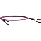 ELEVATE - Kytkentäkaapeli-kuitu - ELEVATE BASE16 OM4 32 MPO 2m