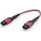 ELEVATE - Kytkentäkaapeli-kuitu - ELEVAT BASE24 OM4 24 MPO 2M