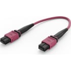 ELEVATE - Kytkentäkaapeli-kuitu - ELEVATE BASE24 OM4 96 MPO 2M