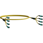 ELEVATE - Kytkentäkaapeli-kuitu - ELEVATE BASE24 OS2 96 MPO 2m 2