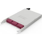 ELEVATE - Paneeli-kuitu - HD BASE12 - 12F LC-MPO F OM4 H