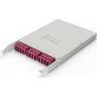 ELEVATE - Paneeli-kuitu - HD 12F LIITOS + PTAILS OM4