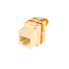TELEVES - Liitin-CAT6 - RJ45 UTP CAT6 naaras keystone