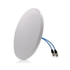 LAATUANTENNI - LAD MIMO Omni, ympsät, 4.3-10F - Antenni 698-3800 2-4dBi LowPIM