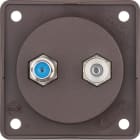 HAGER - Antennirasia Intergro Flow - R+SAT IEC/F-liittimillä rus