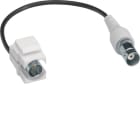 HAGER - Liitin - GMKBNCWS BNC naaras Keystone