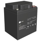 CT LEADER - Suljettu agm akku 12V 40AH - CT40-12 12V/40Ah T6-NAPA