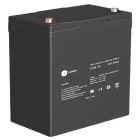 CT LEADER - Suljettu agm akku 12V 55AH - CT55-12 12V/55Ah T6-NAPA