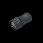 IFM - Pistokeliitin,uros,suo,M23,12n - E60123