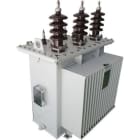 TOSHIBA - Jakelumuuntaja 315kVA 20kV - DTRP315 20.5/0.4 PL VOK E2