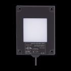 IFM - Taustavalo 50X50 RT/0,15M/US - O2D911