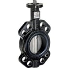 BELIMO - 2-tie läppävent. DN32 KVS 55 - D632N