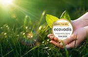 EcoVadis Gold